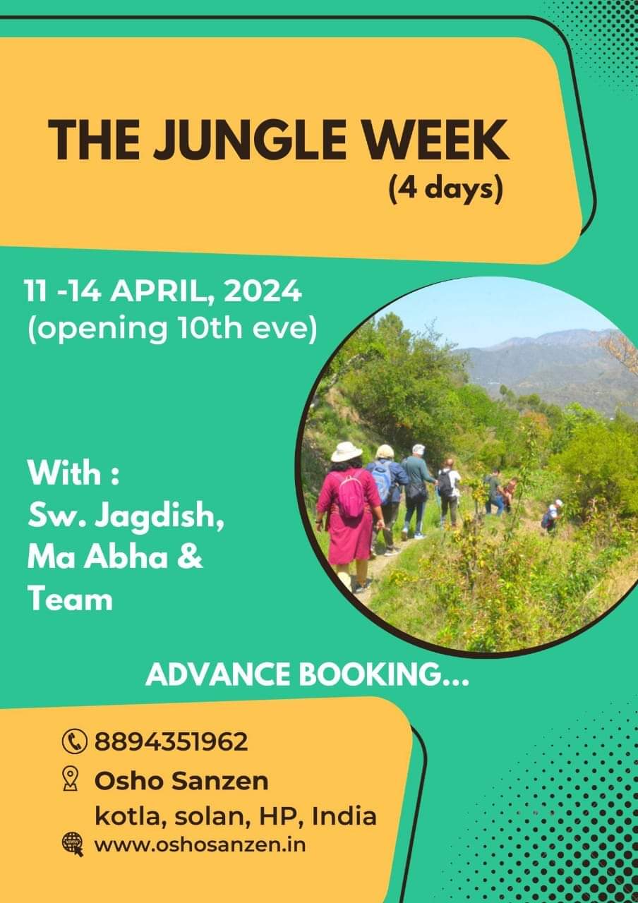 The jungle week