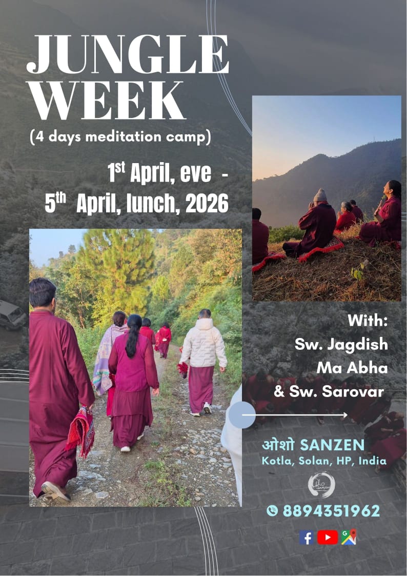 The jungle week The jungle week